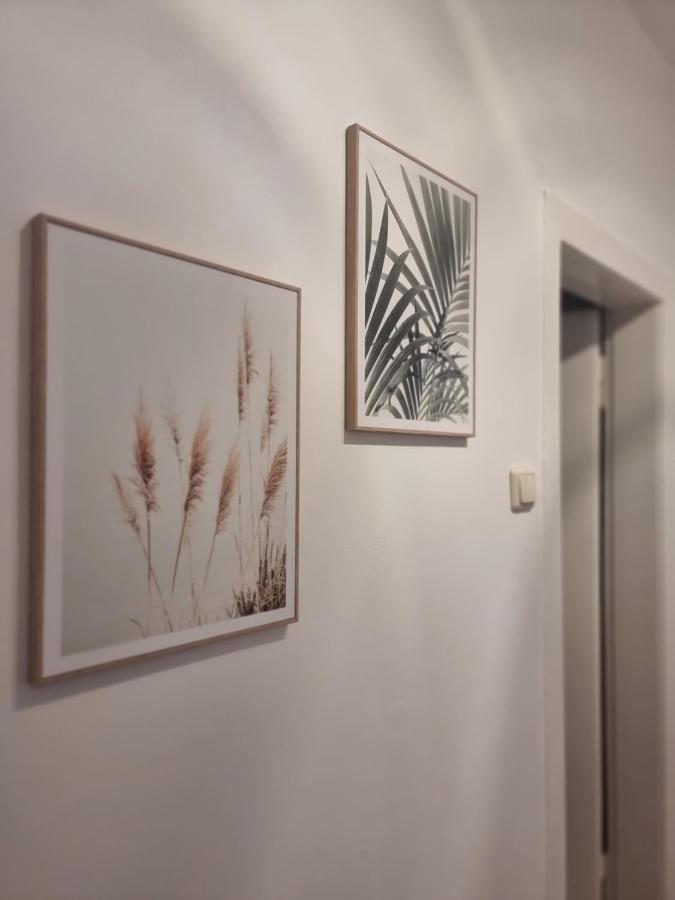 Apartment Naehe Duesseldorf Messe Expo, Airport, Train Station Duisburg Luaran gambar